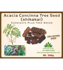 Acasia concinna / shikakai Tree Seed 500 grams